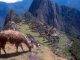 BBC: Tourist dies in Machu Picchu taking photo