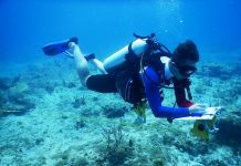 Nature Foundation Conducts Coral Reef Monitoring According to Global Standards in Man of War Shoal Marine Park