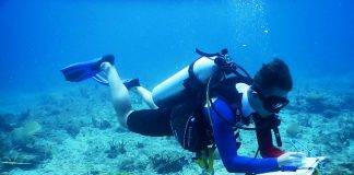 Nature Foundation Conducts Coral Reef Monitoring According to Global Standards in Man of War Shoal Marine Park