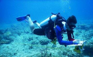 Nature Foundation partners to host International Women’s Dive Day