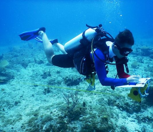 Nature Foundation Conducts Coral Reef Monitoring According to Global Standards in Man of War Shoal Marine Park