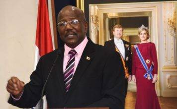 Marlin resta importancia a los temores sobre el proyecto de desarrollo chino