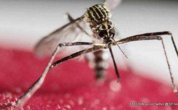 Community Councils, Businesses, Organizations and Interested Persons Invited to Meeting about Mosquito Prevention Measures