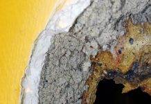 Elshot: demolición del edificio de la antigua Escuela Príncipe Willem Alexander plantea peligros para la salud de la población