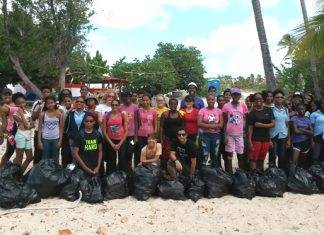Massive amounts of trash found during school cleanups