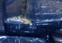 La Policía incauta una gran cantidad de “hashish”