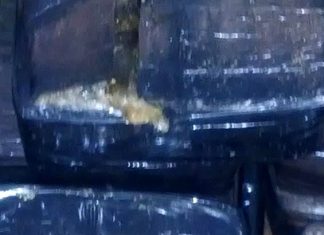 La Policía incauta una gran cantidad de “hashish”