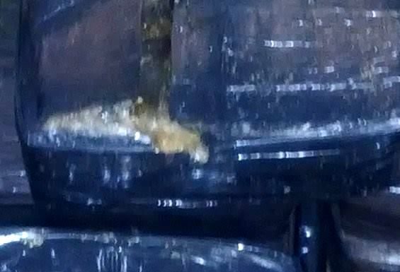 La Policía incauta una gran cantidad de “hashish”