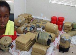 Woman fined $100,000 for possessing ECC $5.2 million worth of drugs