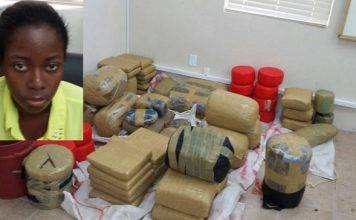 Woman fined $100,000 for possessing ECC $5.2 million worth of drugs