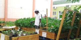 Ambassador Valkenburg’s plan to champion agriculture is welcome news to OSPP
