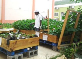 Ambassador Valkenburg’s plan to champion agriculture is welcome news to OSPP