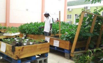 Ambassador Valkenburg’s plan to champion agriculture is welcome news to OSPP