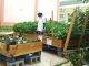 Ambassador Valkenburg’s plan to champion agriculture is welcome news to OSPP