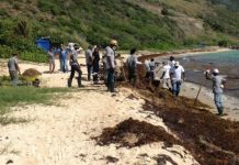 Gendarmes search for evidence to break Pierrick BRIERE murder case Monday