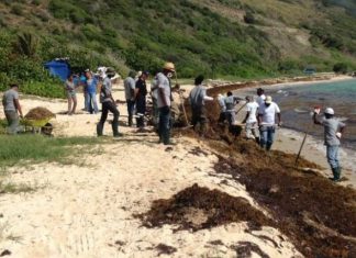 Gendarmes search for evidence to break Pierrick BRIERE murder case Monday