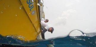 Nature Foundation Starts Tagging Endangered Shark Species on Sint Maarten