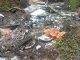 Nature Foundation once again concerned about illegal dumping