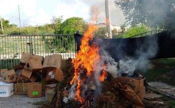 Anguilla Police Report: Police destroy 10,000 cannabis plants and South Hill man on bail