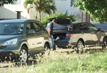 Demand 30 months in Mahi-Mahi-case