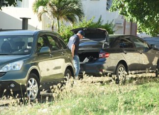 Demand 30 months in Mahi-Mahi-case