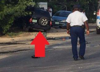 Driver in fatal traffic accident arrested