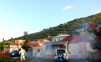 71 premises visited in Betty’s Estate. Out of 28 One in five homes with mosquito larvae