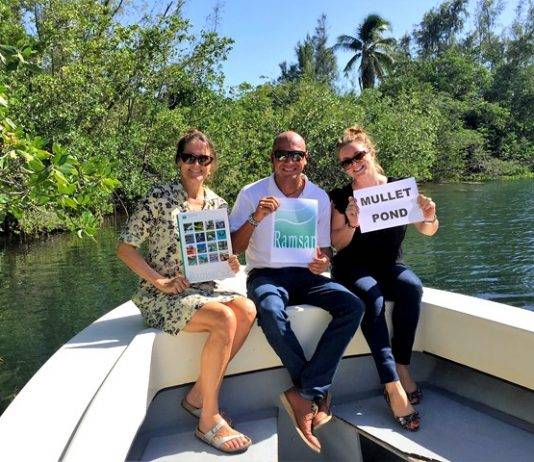 Mullet Pond Listed as a Protected Ramsar Site Wetland of International Importance