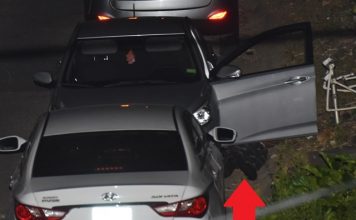 *** BREAKING NEWS ***: Unknown person shot rico dead in front of his house on Soursap road