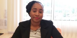 New Adjunct Interim Director at NIPA