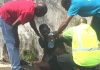 Man stabbed to death