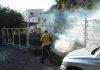 Mosquito fogging continues Monday to Wednesday