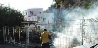 Mosquito fogging continues Monday to Wednesday