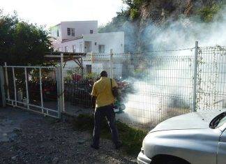 Vector control survey of Mary’s Fancy finds one in three homes with mosquito larvae