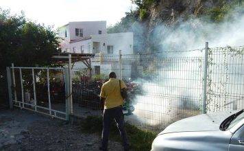 Vector control survey of Mary’s Fancy finds one in three homes with mosquito larvae