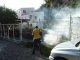 Mosquito fogging continues Monday to Wednesday