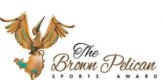 The Annual Brown Pelican Sports Awards virtual release set for November 15, 2020