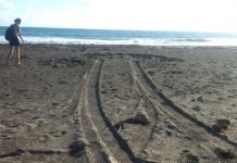 Illegal Driving on Zeelandia Beach