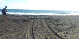 Illegal Driving on Zeelandia Beach