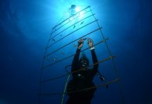 Nature Foundation starts EU-funded coral nursery project