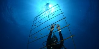 Nature Foundation starts EU-funded coral nursery project