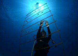 Nature Foundation starts EU-funded coral nursery project