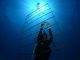 Nature Foundation starts EU-funded coral nursery project