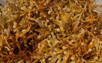 Seasonal Sargassum Seaweed Reaches Coastal Areas. CPS Urges Community to take Health Precautions