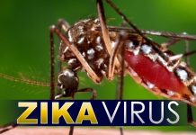 Vector control team continues this weekend in South Reward. Help Beat ZikV