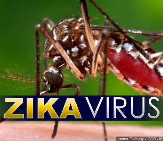 Vector control team continues this weekend in South Reward. Help Beat ZikV