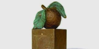 Oranje Fonds Selects Two Contenders from Saba for the Appeltje van Oranje