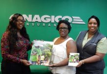 Nagico releases 2017 calendar focused on community service