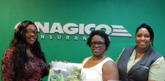 Nagico releases 2017 calendar focused on community service