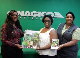 Nagico releases 2017 calendar focused on community service